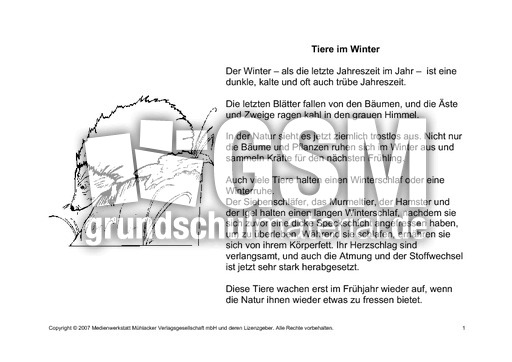Fehlerlesen-Tiere-im-Winter-Lesetext-1.pdf